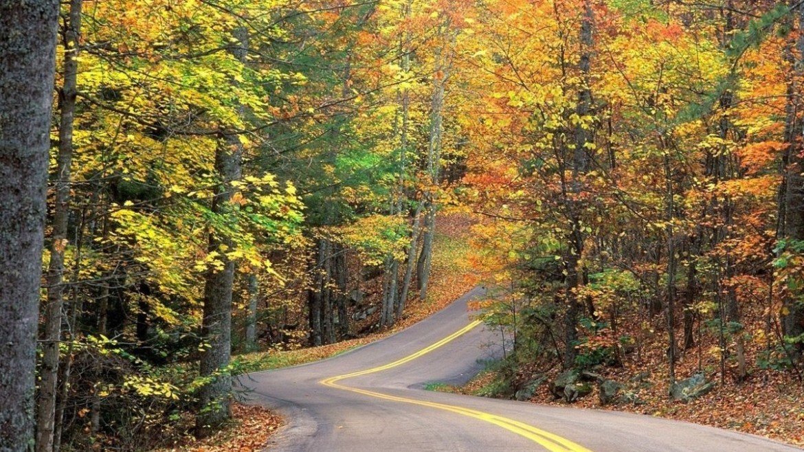 road-in-fall road-in-fall