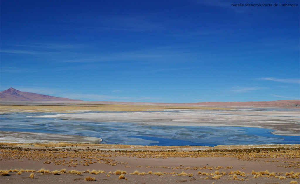 salar de tara lagoa e vulcão no deserto de Atacama, chile