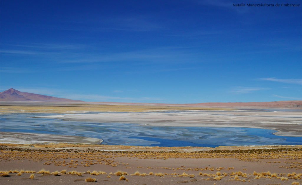 Mala-Atacama