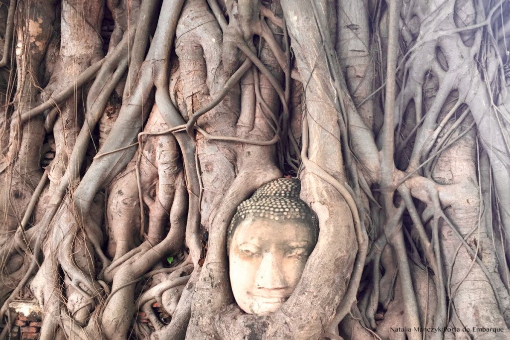Ayutthaya-cabeça