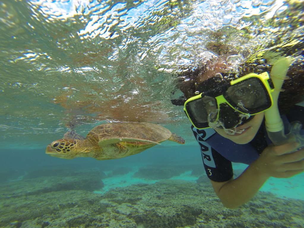 Meu selfie com a tartaruga em Lady Elliot, ilha na Austrália