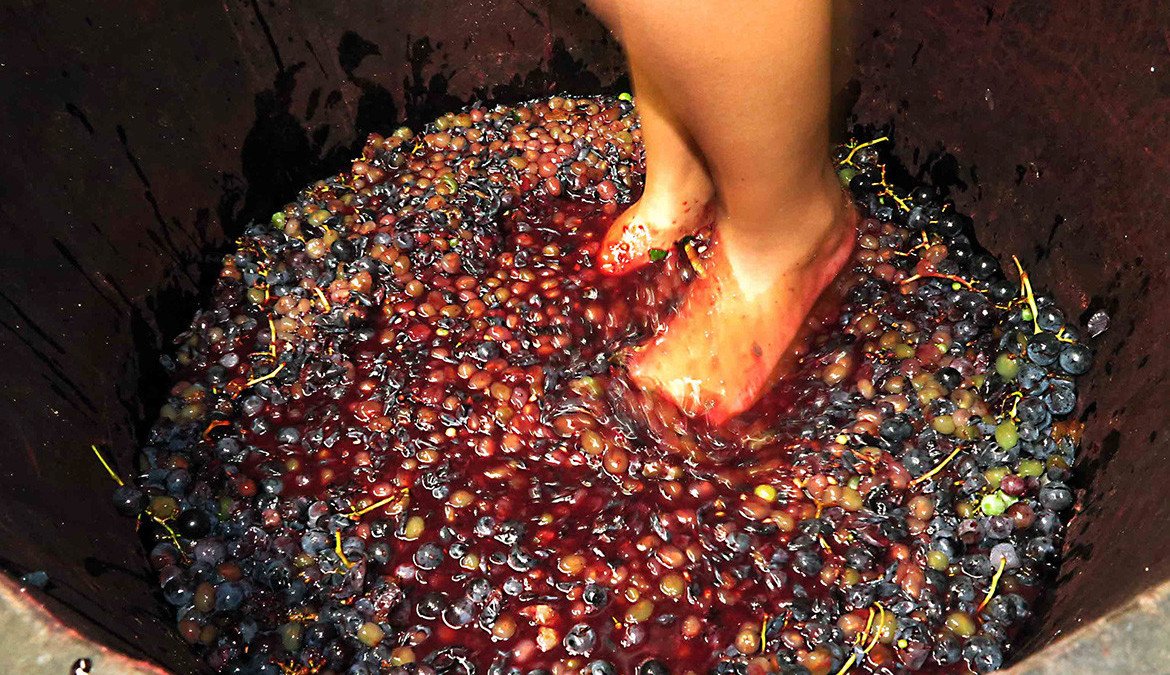 Pisando na uva da vinicola Dall Onder na Serra Gaucha