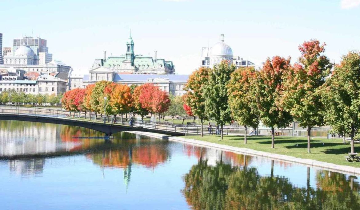 novo voo sp Montreal