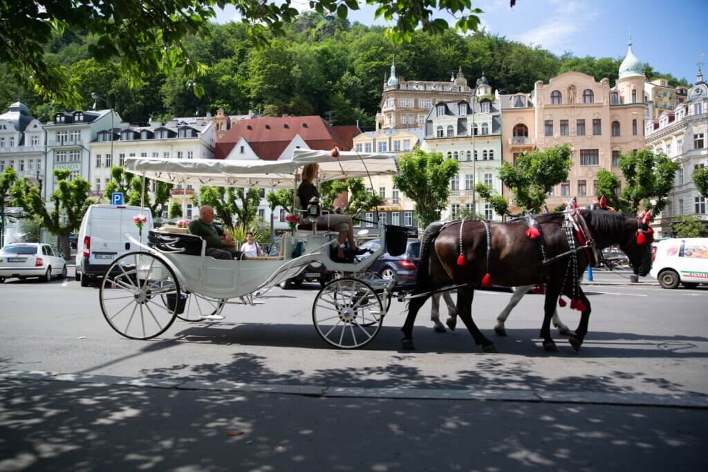 Karlovy Vary cavalos