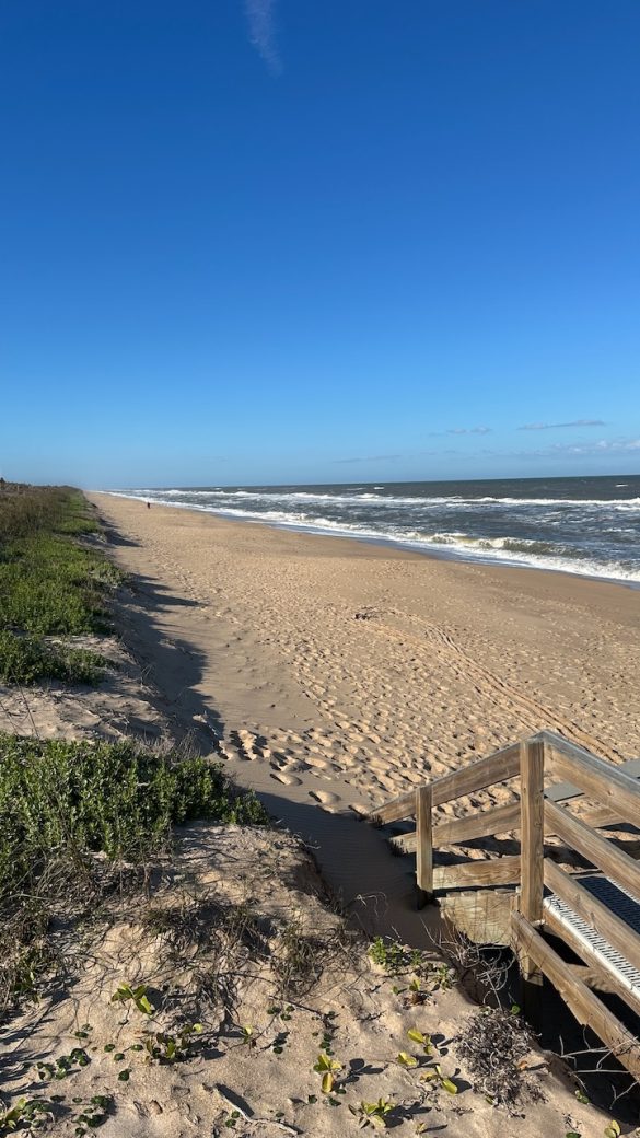 Canaveral New Smyrna Beach
