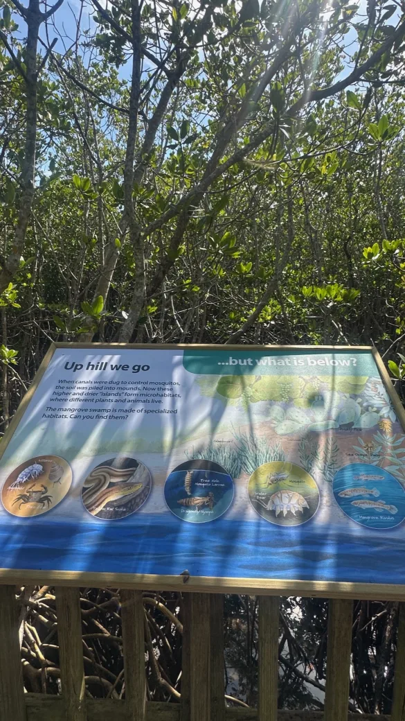 Vero Beach O que fazer ()