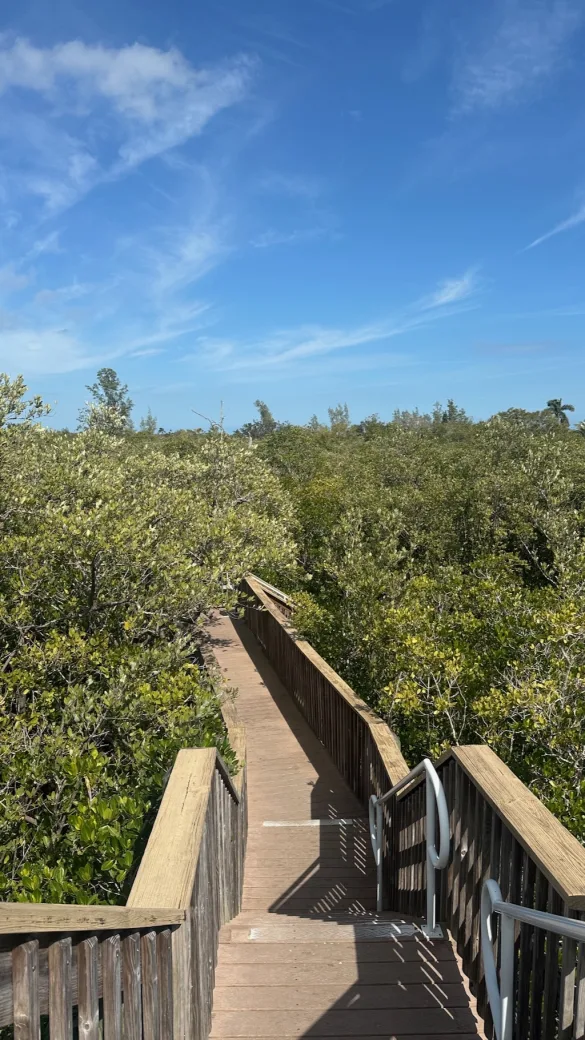 Vero Beach O que fazer ()