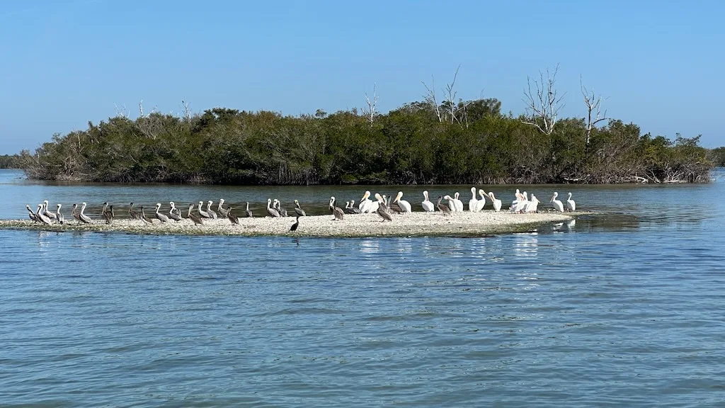Vero Beach praia na florida hotel ()